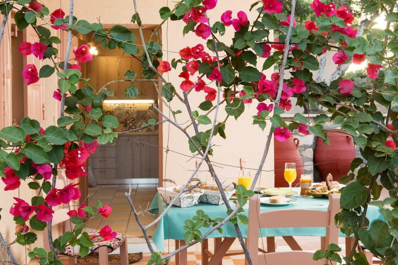 White Sand Villa. Spacious Villa With Prive Pool. Agia Pelagia Екстериор снимка